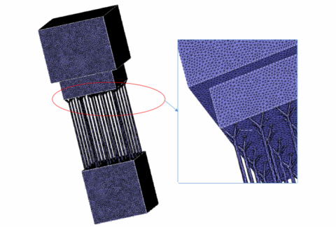 Specimen_analysis_mesh_-_Copy